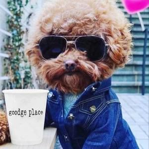 Meet your Posher, Jeanine